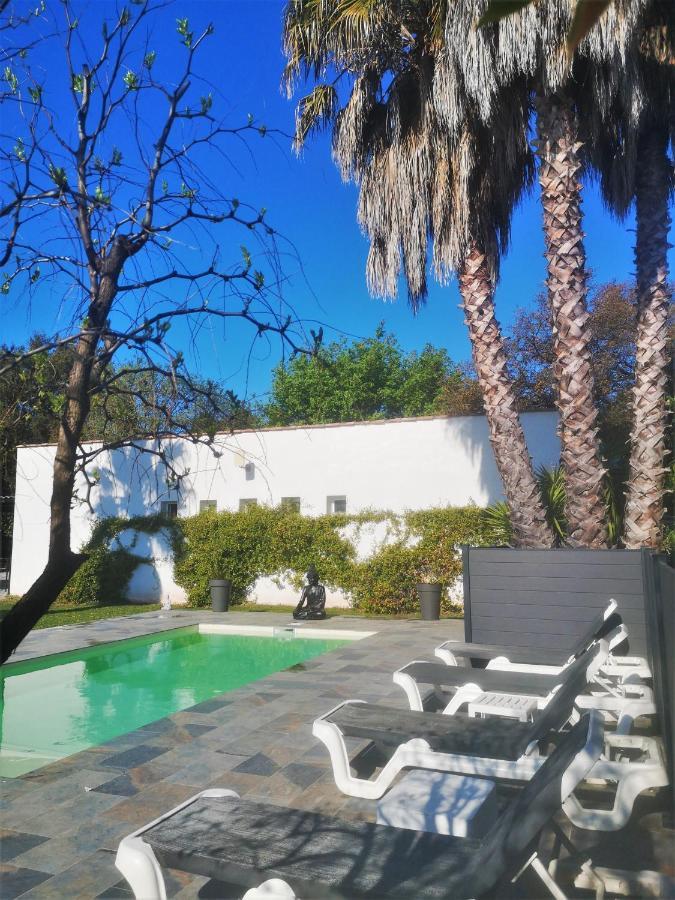 Le Mas Du Bijou Bleu Puget-sur-Argens Dış mekan fotoğraf